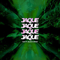 Thumbnail for the Tao - Jaque link, provided by host site