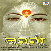 Thumbnail for the Sukhwinder Singh - Jare Jaa Panchhi Jaa Re link, provided by host site