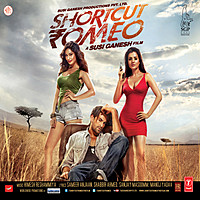 Thumbnail for the Mika Singh - Jave Saari Duniya link, provided by host site