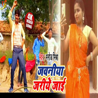 Thumbnail for the Manoj Mishra - Jawaniya Jariye Jai link, provided by host site