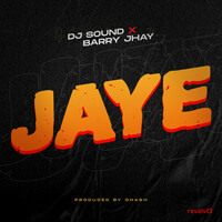 Thumbnail for the DJ Sound - Jaye link, provided by host site
