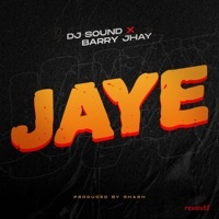 Thumbnail for the DJ Sound - Jaye link, provided by host site