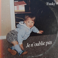 Thumbnail for the Funky - Je n'oublie pas link, provided by host site