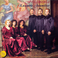 Thumbnail for the Pierre Certon - Je ne l'ose dire link, provided by host site