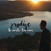 Thumbnail for the Prodige - Je Porte Ton Nom link, provided by host site