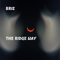 Thumbnail for the Bris - Jefe link, provided by host site