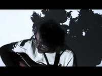 Thumbnail for the Wilco - Jeff Tweedy "One Tiny Flower" Official Twilight Override link, provided by host site
