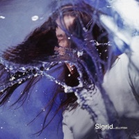 Thumbnail for the Sigrid - Jellyfish link, provided by host site