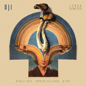 Thumbnail for the Uji - Jenga (Nicola Cruz Remix) link, provided by host site