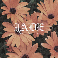 Thumbnail for the Jade - Jenny link, provided by host site