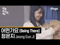Thumbnail for the JEONG EUN JI - 정은지 - 어떤가요 (Jeong Eun Ji - Being There) [세로라이브 / 4K] 댕댕이와 함께한 LIVE link, provided by host site