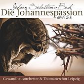 Thumbnail for the Gewandhausorchester Leipzig - Jesus Ging Mit Seinen Jüngern Nr. 2a Rezitativ link, provided by host site