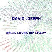 Thumbnail for the David Joseph - Jesus Loves My Crazy link, provided by host site