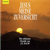 Thumbnail for the Bach-Collegium Stuttgart - Jesus Meine Zuversicht link, provided by host site