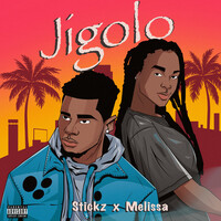 Thumbnail for the Stickz - Jigolo link, provided by host site