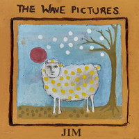 Thumbnail for the The Wave Pictures - Jim link, provided by host site