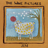 Thumbnail for the The Wave Pictures - Jim link, provided by host site