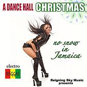 Thumbnail for the Yamit Geiger - Jingle Bell (Remix by Billy Paul Williams) link, provided by host site