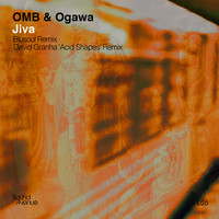 Thumbnail for the OMB - Jiva link, provided by host site