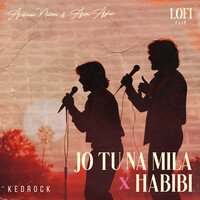 Thumbnail for the Asim Azhar - Jo Tu Na Mila x Habibi (Mashup) [Lofi Flip] link, provided by host site