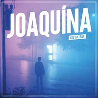 Thumbnail for the The Haters - Joaquína link, provided by host site
