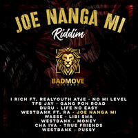 Thumbnail for the Riddim - Joe Nanga Mi link, provided by host site