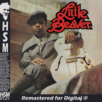 Thumbnail for the Little Beaver - Joey link, provided by host site
