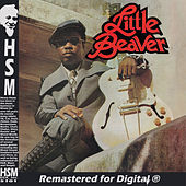 Thumbnail for the Little Beaver - Joey link, provided by host site