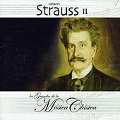 Thumbnail for the Royal Philharmonic Orchestra - Johann Strauss II, Los Grandes de la Música Clásica link, provided by host site