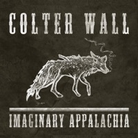 Thumbnail for the Colter Wall - Johnny Boy's Bones link, provided by host site