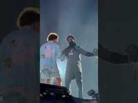 Thumbnail for the Luh Tyler - Joins Kodak Black at Rolling Loud Miami 2023 link, provided by host site