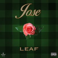 Thumbnail for the Leaf - Jose link, provided by host site
