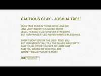 Thumbnail for the Cautious Clay - Joshua Tree link, provided by host site