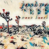 Thumbnail for the Moon Hooch - Joshua Tree link, provided by host site
