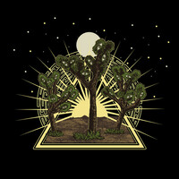 Thumbnail for the Dirtwire - Joshua Tree link, provided by host site