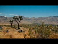 Thumbnail for the Ben Harper - "Joshua Tree" (Band Version) link, provided by host site