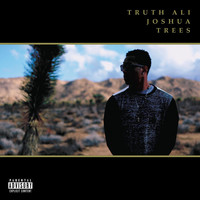 Thumbnail for the Truth Ali - Joshua Trees link, provided by host site