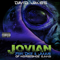 Thumbnail for the David James - Jovian link, provided by host site
