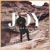 Thumbnail for the Vashawn Mitchell - Joy link, provided by host site