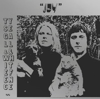 Image of Ty Segall linking to their artist page due to link from them being at the top of the main table on this page