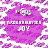 Thumbnail for the Groovenatics - Joy (the Remixes) link, provided by host site