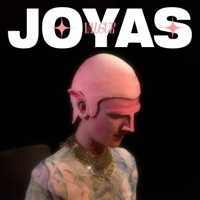 Thumbnail for the Valgur - Joyas link, provided by host site