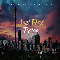 Thumbnail for the Price - Jozi Flex link, provided by host site