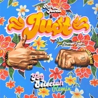 Thumbnail for the Run the Jewels - JU$T [Toy Selectah Remix] link, provided by host site