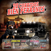 Thumbnail for the El Coyote Y Su Banda Tierra Santa - Juan Ramos link, provided by host site