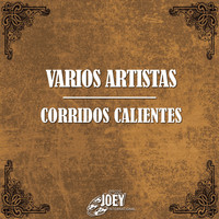 Thumbnail for the Los Rieleros del Norte - Juan Ramos link, provided by host site