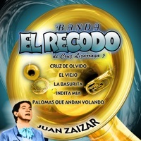Thumbnail for the Banda El Recodo de Cruz Lizárraga - Juan Zaisar link, provided by host site