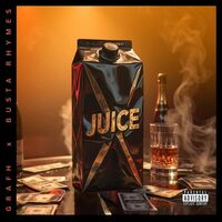 Thumbnail for the Busta Rhymes - Juice link, provided by host site