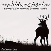 Thumbnail for the Solee - Jule (Dany Holm Remix) link, provided by host site
