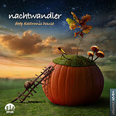 Thumbnail for the Solee - Jule (Tim Engelhardt Remix) link, provided by host site